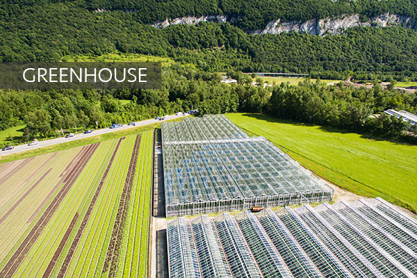 Direki Group Greenhouse